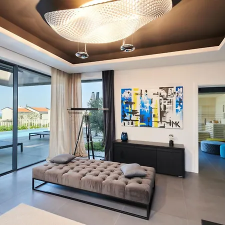 Modern Zora With Sauna In Visnjan Villa *