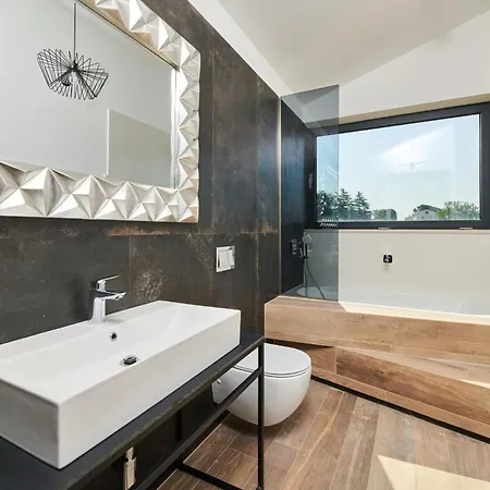 Modern Zora With Sauna In Visnjan